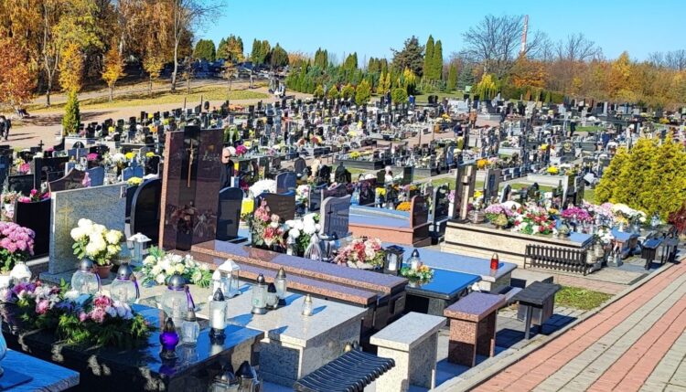 Meleksem po cmentarzu Wilkowyja w Rzeszowie