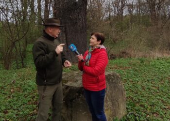 Gdzie nogi poniosą? Do Krościenka Wyżnego