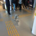 Mielecki Festiwal Nauki i Techniki. Sztuczna inteligencja, roboty i przemysł - Polskie Radio Rzeszów