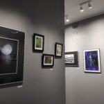 Rocznik 2024: Jubileuszowa wystawa Rzeszowskiego Stowarzyszenia Fotograficznego 4 - Polskie Radio Rzeszów Rocznik 2024: Jubileuszowa wystawa Rzeszowskiego Stowarzyszenia Fotograficznego - Polskie Radio Rzeszów