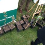 Pigwowce i niezapominajki. Wiosenna wymiana roślin w Mielcu 3 - Polskie Radio Rzeszów Pigwowce i niezapominajki. Wiosenna wymiana roślin w Mielcu - Polskie Radio Rzeszów