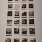 Kanadyjska artystka Tania Love prezentuje w Rzeszowie „Gałęzie zapomnianej świadomości” 7 - Polskie Radio Rzeszów Kanadyjska artystka Tania Love prezentuje w Rzeszowie „Gałęzie zapomnianej świadomości” - Polskie Radio Rzeszów