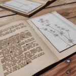 Kanadyjska artystka Tania Love prezentuje w Rzeszowie „Gałęzie zapomnianej świadomości” 8 - Polskie Radio Rzeszów Kanadyjska artystka Tania Love prezentuje w Rzeszowie „Gałęzie zapomnianej świadomości” - Polskie Radio Rzeszów