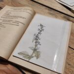 Kanadyjska artystka Tania Love prezentuje w Rzeszowie „Gałęzie zapomnianej świadomości” 13 - Polskie Radio Rzeszów Kanadyjska artystka Tania Love prezentuje w Rzeszowie „Gałęzie zapomnianej świadomości” - Polskie Radio Rzeszów