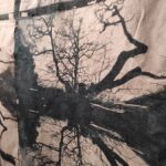 Kanadyjska artystka Tania Love prezentuje w Rzeszowie „Gałęzie zapomnianej świadomości” 18 - Polskie Radio Rzeszów Kanadyjska artystka Tania Love prezentuje w Rzeszowie „Gałęzie zapomnianej świadomości” - Polskie Radio Rzeszów