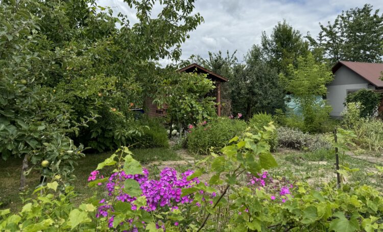 Właściciele ogródków działkowych w Rzeszowie mogą starać się o dotację