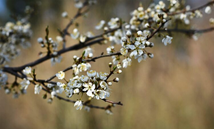 Najpiękniejsze wspomnienia wielkanocne (sonda)