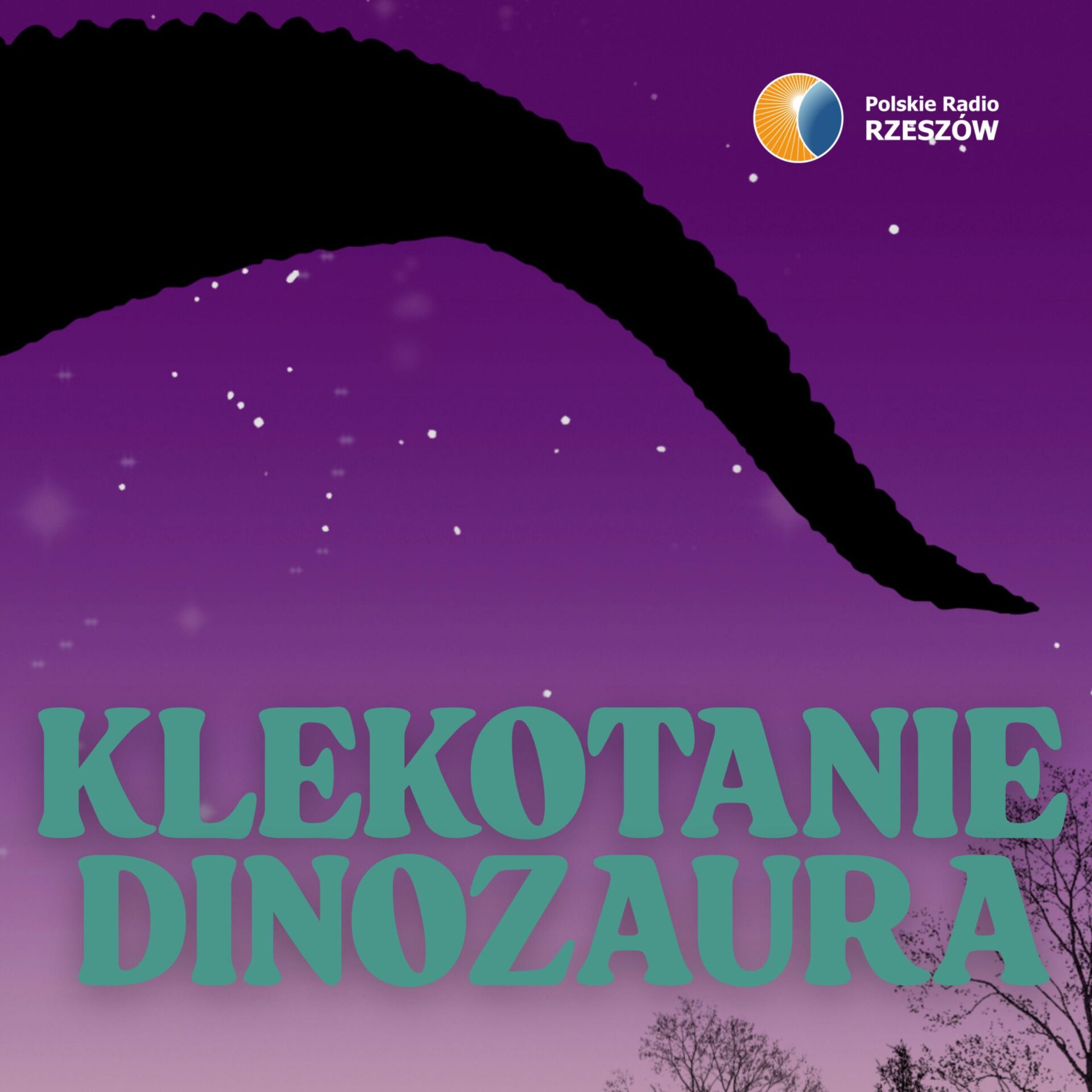 PROGRAM - Polskie Radio Rzeszów