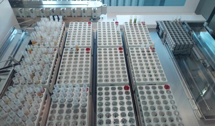 Nowoczesna diagnostyka w Rzeszowie 1 - Polskie Radio Rzeszów Nowoczesna diagnostyka w Rzeszowie