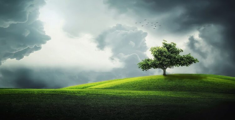 Gdy człowiek zmartwychwstaje. Ks. Szymik o poezji i prozie życia