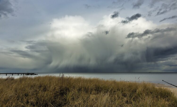 Silny wiatr w regionie. IMGW ostrzega mieszkańców