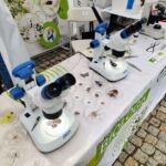 15. edycja Pikniku Nauki EKSPLORACJE w Rzeszowie [ZDJĘCIA] - Polskie Radio Rzeszów