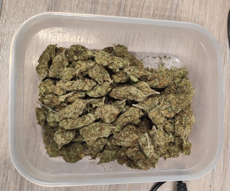 Awantura o psa zakończona zatrzymaniem za narkotyki