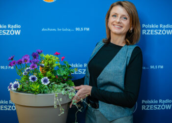 Co siać i sadzić w maju, by latem cieszyć się kwiatami?