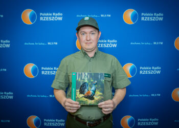 Zanocuj w lesie – program Lasów Państwowych