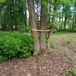 W Woli Ocieckiej uczczono pamięć legionisty Mieczysława Żarskiego 12 - Polskie Radio Rzeszów W Woli Ocieckiej uczczono pamięć legionisty Mieczysława Żarskiego - Polskie Radio Rzeszów