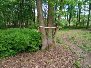 W Woli Ocieckiej uczczono pamięć legionisty Mieczysława Żarskiego - Polskie Radio Rzeszów