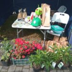 Uczniowie z Dębicy świętują Dzień Zdrowia Roślin w Stobiernej 4 - Polskie Radio Rzeszów Uczniowie z Dębicy świętują Dzień Zdrowia Roślin w Stobiernej - Polskie Radio Rzeszów