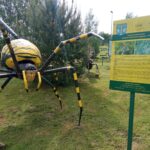 Uczniowie z Dębicy świętują Dzień Zdrowia Roślin w Stobiernej 5 - Polskie Radio Rzeszów Uczniowie z Dębicy świętują Dzień Zdrowia Roślin w Stobiernej - Polskie Radio Rzeszów