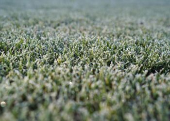 Lipiec i sierpień jedynymi miesiącami bez przymrozków w Polsce