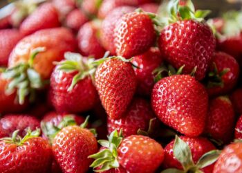 Majowe chłody hamują sprzedaż krajowych truskawek