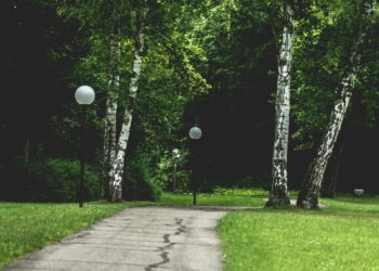 Na osiedlu Zalesie powstanie park dendrologiczny. Miasto podpisało pierwszą umowę