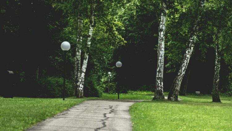 Na osiedlu Zalesie powstanie park dendrologiczny. Miasto podpisało pierwszą umowę