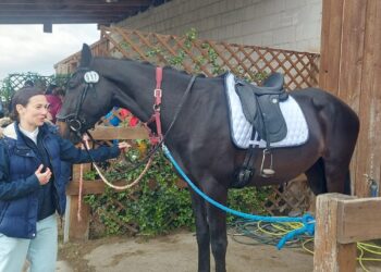 Wydrzańskie Spotkania Jeździeckie. Sportowe emocje i rodzinna atmosfera