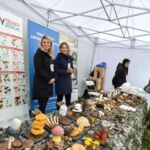 15. edycja Pikniku Nauki EKSPLORACJE w Rzeszowie [ZDJĘCIA] - Polskie Radio Rzeszów