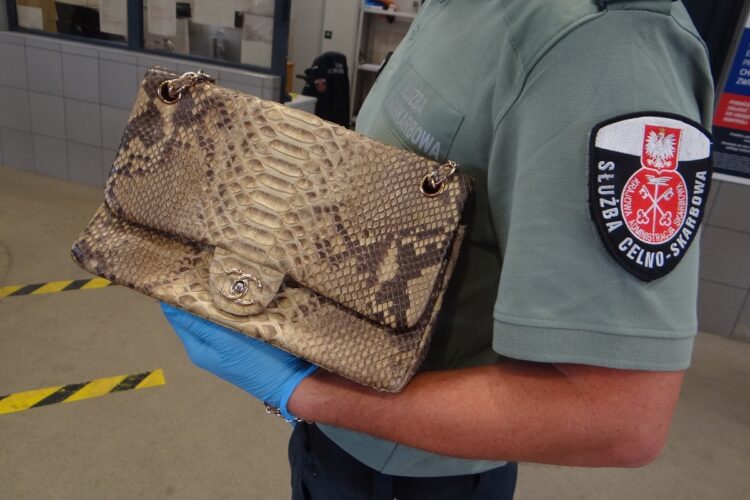 Galanteria z chronionych zwierząt zatrzymana na granicy