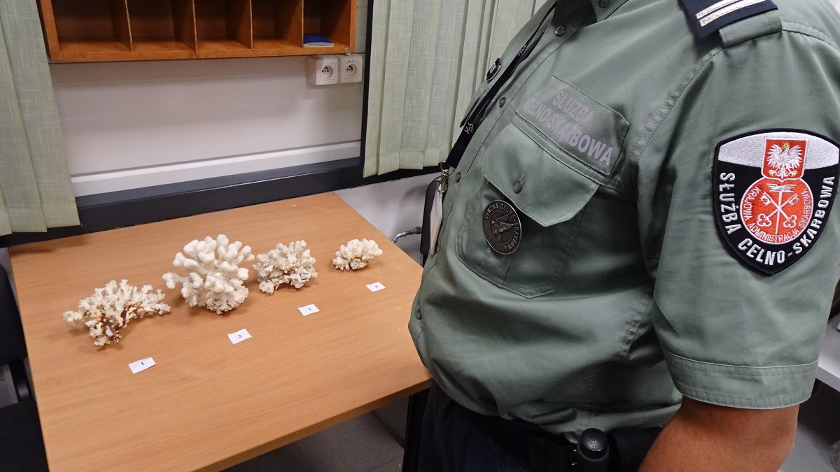 Koralowce i portfel ze skóry pytona przechwycone na podkarpackich przejściach - Polskie Radio Rzeszów