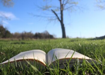 Konkurs „Polszczyzna bez tajemnic”. Można się jeszcze zgłaszać