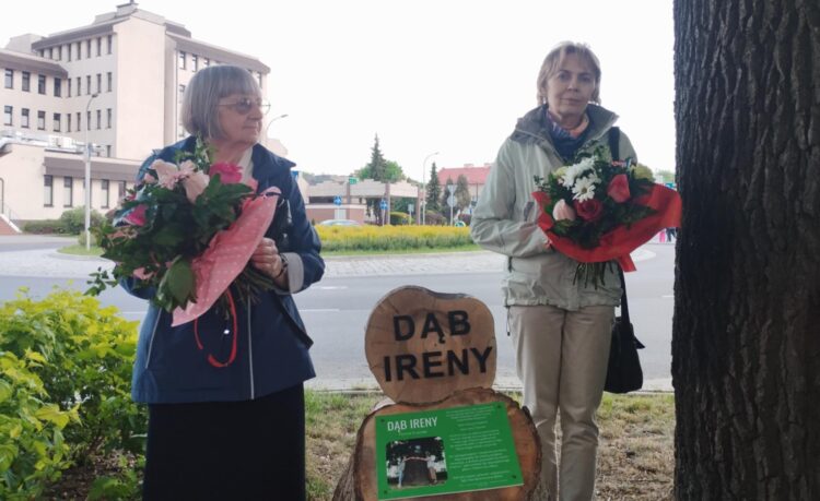 Rzeszowski dąb „Ireny” obchodził 201. urodziny 1 - Polskie Radio Rzeszów Rzeszowski dąb „Ireny” obchodził 201. urodziny