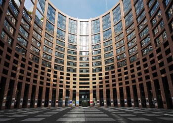 Parlament Europejski uchylił immunitet europosła Grzegorza Brauna