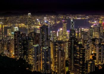 Dlaczego ptaki w mieście nie są bezpieczne