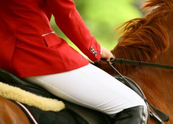 Ułański pokaz turniejowy w Muzeum-Zamku w Łańcucie