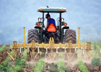 Trwa regionalny etap konkursu KRUS