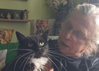 Zofia Zalewska-Mrówka, miłośniczka kotów z Bieszczadów