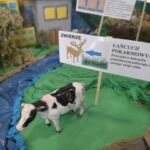 Uczniowie ze Skopania najlepsi w konkursie „Cykl Hydrologiczny” – kreatywne makiety i wiedza o obiegu wody - Polskie Radio Rzeszów