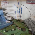 Uczniowie ze Skopania najlepsi w konkursie „Cykl Hydrologiczny” – kreatywne makiety i wiedza o obiegu wody - Polskie Radio Rzeszów