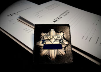 Oszustwo, kradzież, wtargnięcie do domu. 44-latkowi grozi 10 lat więzienia