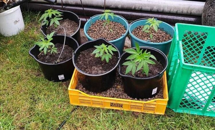 Wpadł z konopiami po tym, jak brat ukradł paliwo z lokomotywy