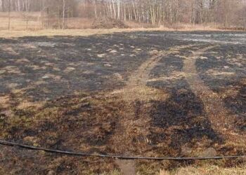 Wypalali trawy, poniosą konsekwencje