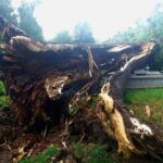 Ulewy i burze nad regionem. Kilkadziesiąt interwencji straży pożarnej 3 - Polskie Radio Rzeszów Ulewy i burze nad regionem. Kilkadziesiąt interwencji straży pożarnej - Polskie Radio Rzeszów