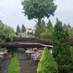 Ulewy i burze nad regionem. Kilkadziesiąt interwencji straży pożarnej 5 - Polskie Radio Rzeszów Ulewy i burze nad regionem. Kilkadziesiąt interwencji straży pożarnej - Polskie Radio Rzeszów