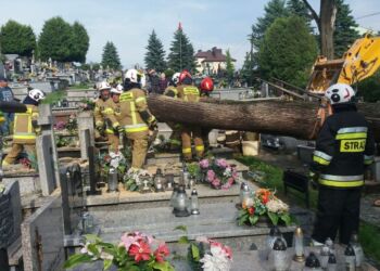 Ulewy i burze nad regionem. Kilkadziesiąt interwencji straży pożarnej