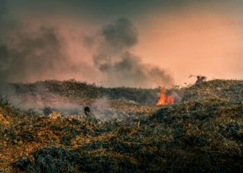Fala upałów w Portugalii. Strażacy walczą z pożarami
