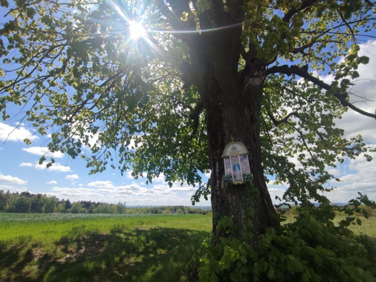 Gdzie nogi poniosą? Do źródeł Lubczy 1 - Polskie Radio Rzeszów Gdzie nogi poniosą? Do źródeł Lubczy