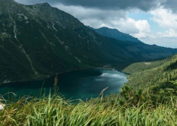 Spór o transport konny do Morskiego Oka