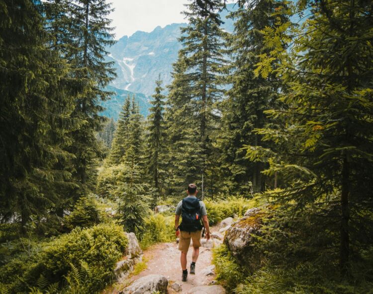 Tatrzański Park Narodowy wyremontuje 15 szlaków turystycznych